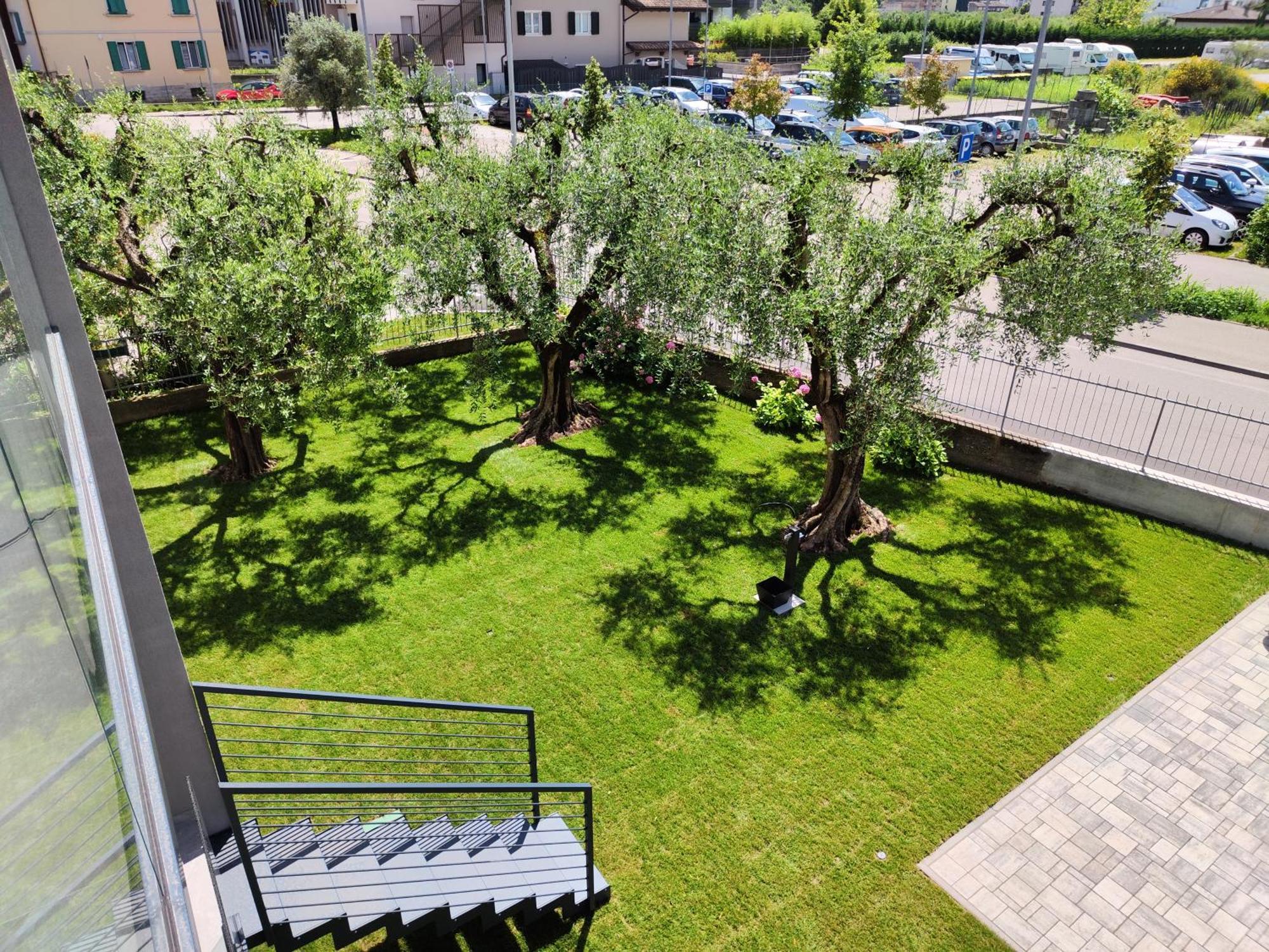 Oasi Degli Ulivi Apartment Riva del Garda Luaran gambar