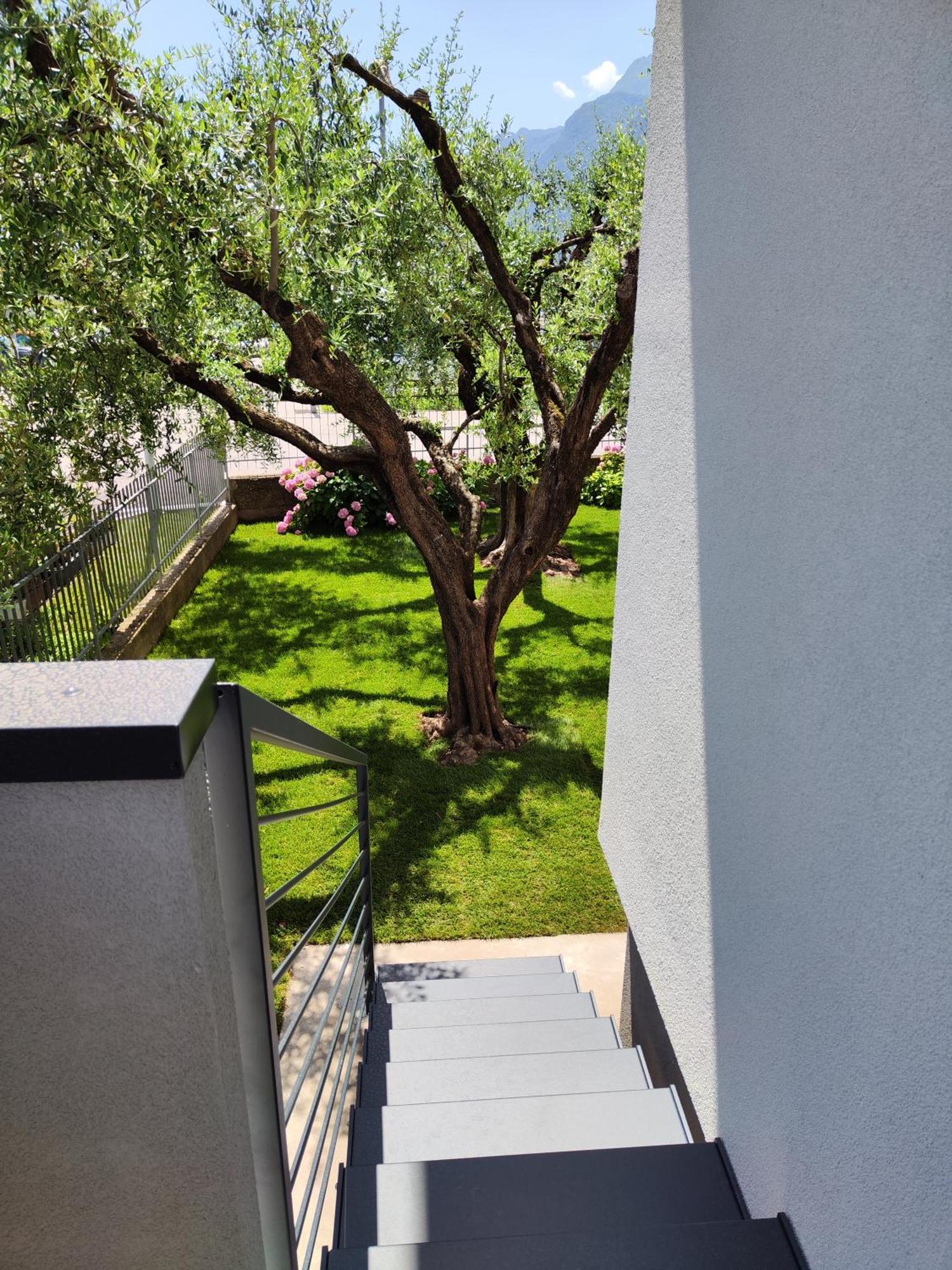 Oasi Degli Ulivi Apartment Riva del Garda Luaran gambar