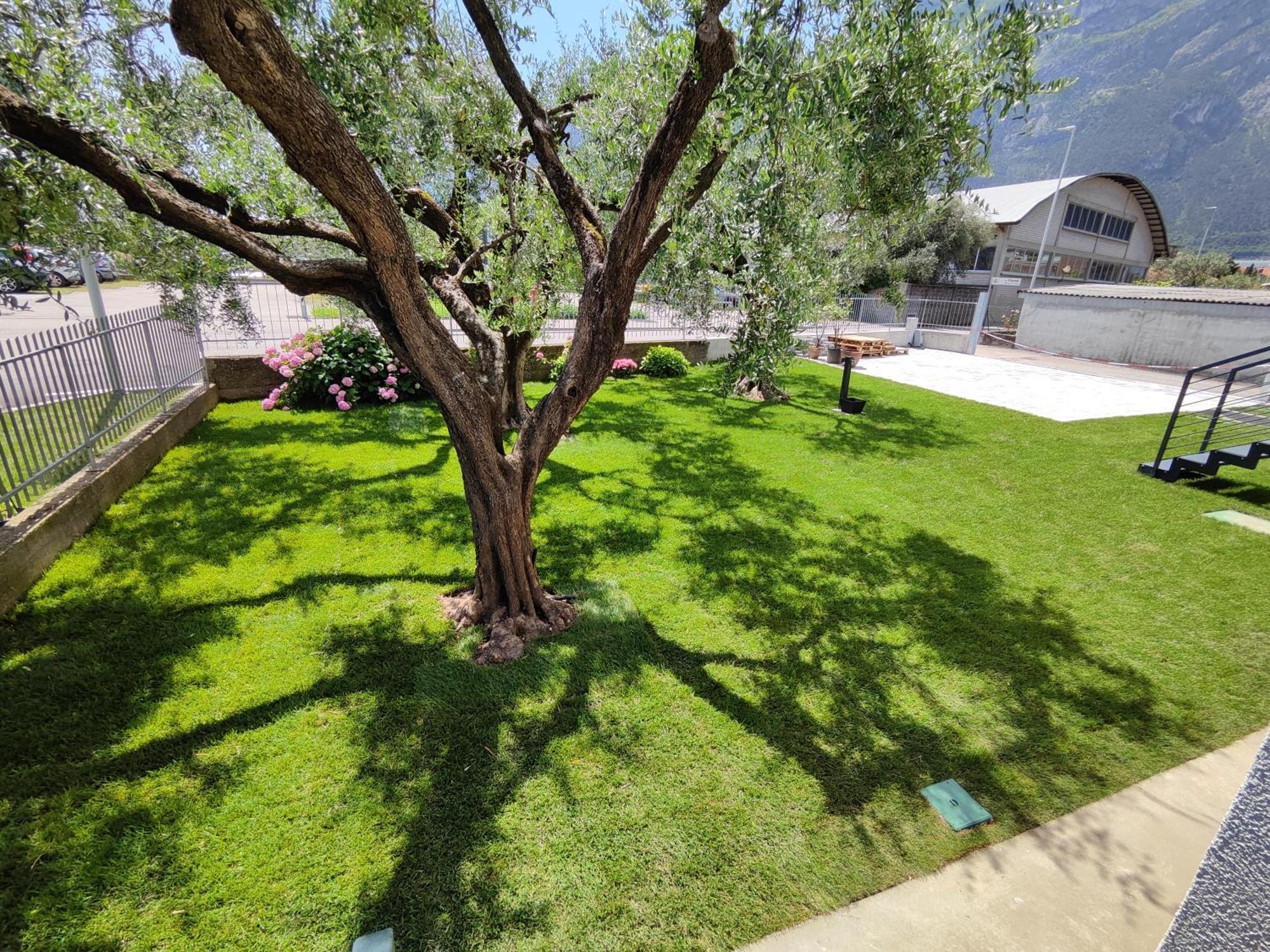 Oasi Degli Ulivi Apartment Riva del Garda Luaran gambar