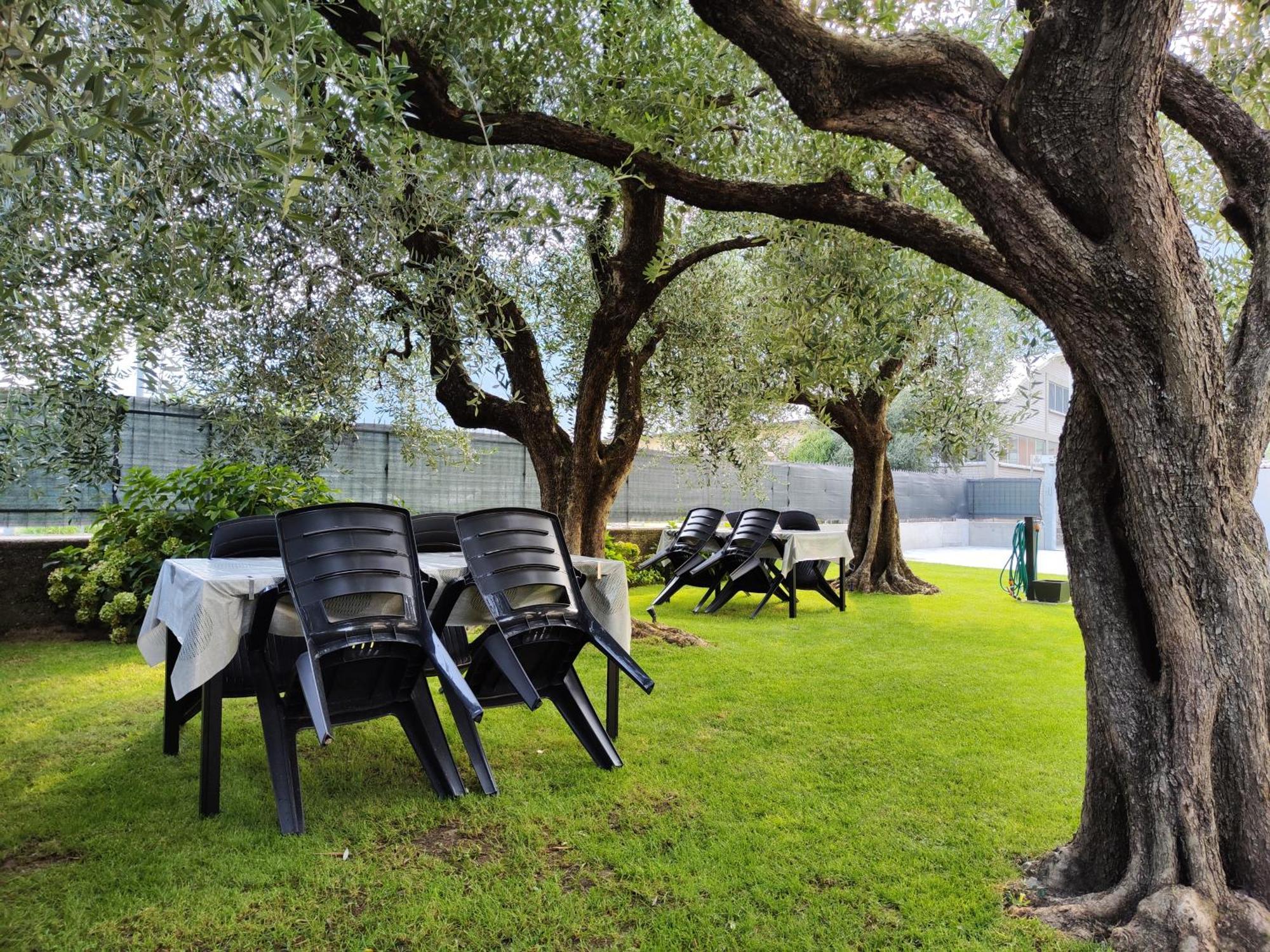 Oasi Degli Ulivi Apartment Riva del Garda Luaran gambar